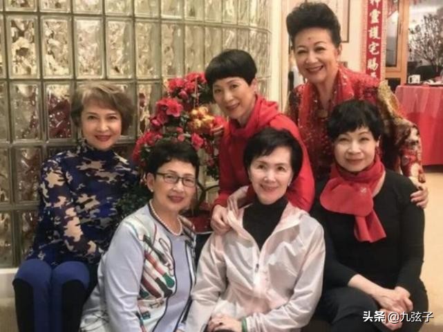 邵氏七仙女,邵氏七公主现状