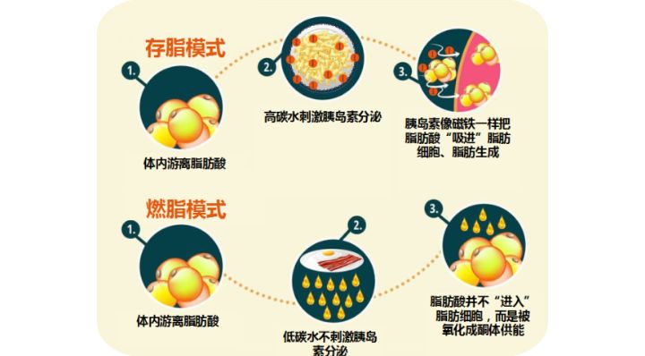 世界卫生组织糖尿病饮食,澳大利亚预防糖尿病的方法