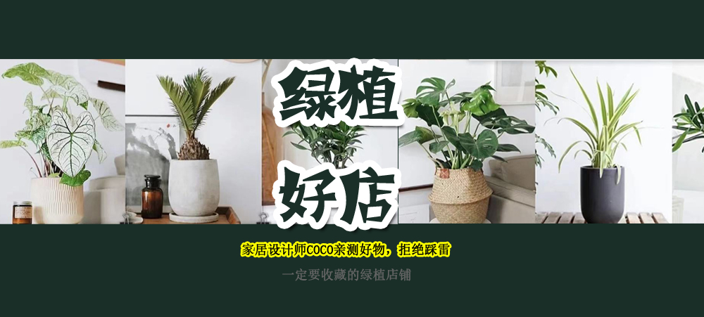 极简风格绿植店铺推荐,适合在卧室养的植物店铺