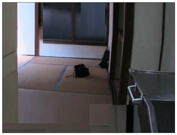 年薪1300万的女子，下班后却在风俗街兼职，日本知名OL犯罪悬案