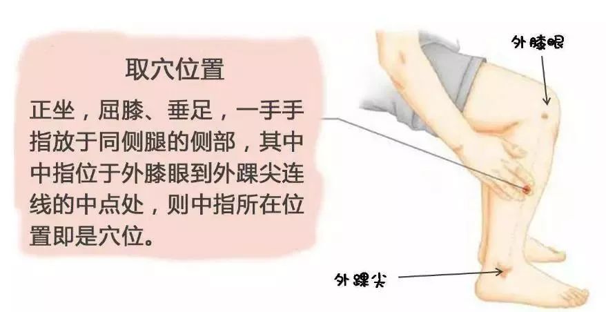 一夜春雨万物醒,一夜春雨滋润万物