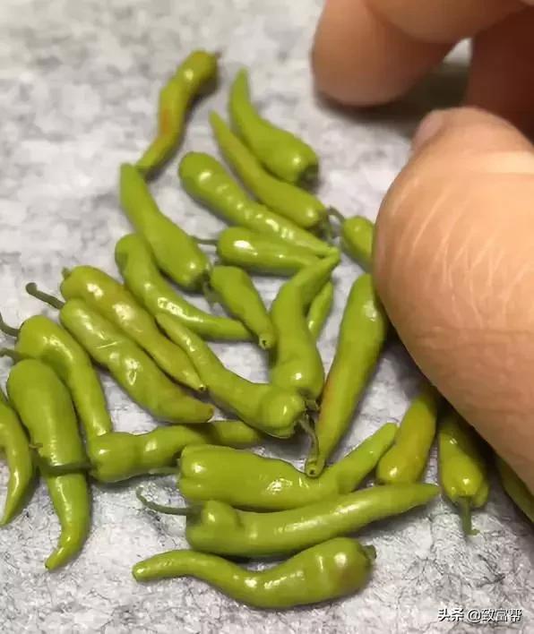 90后母亲被骗,90后妈妈因造假走红