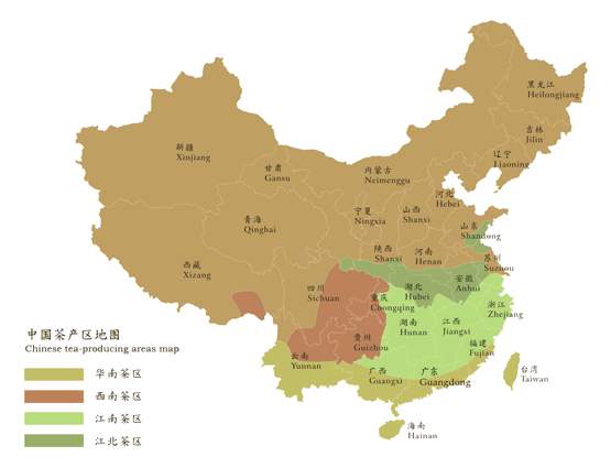 去山东除了“哈啤酒”,还能喝点啥?海岸绿茶了解一下