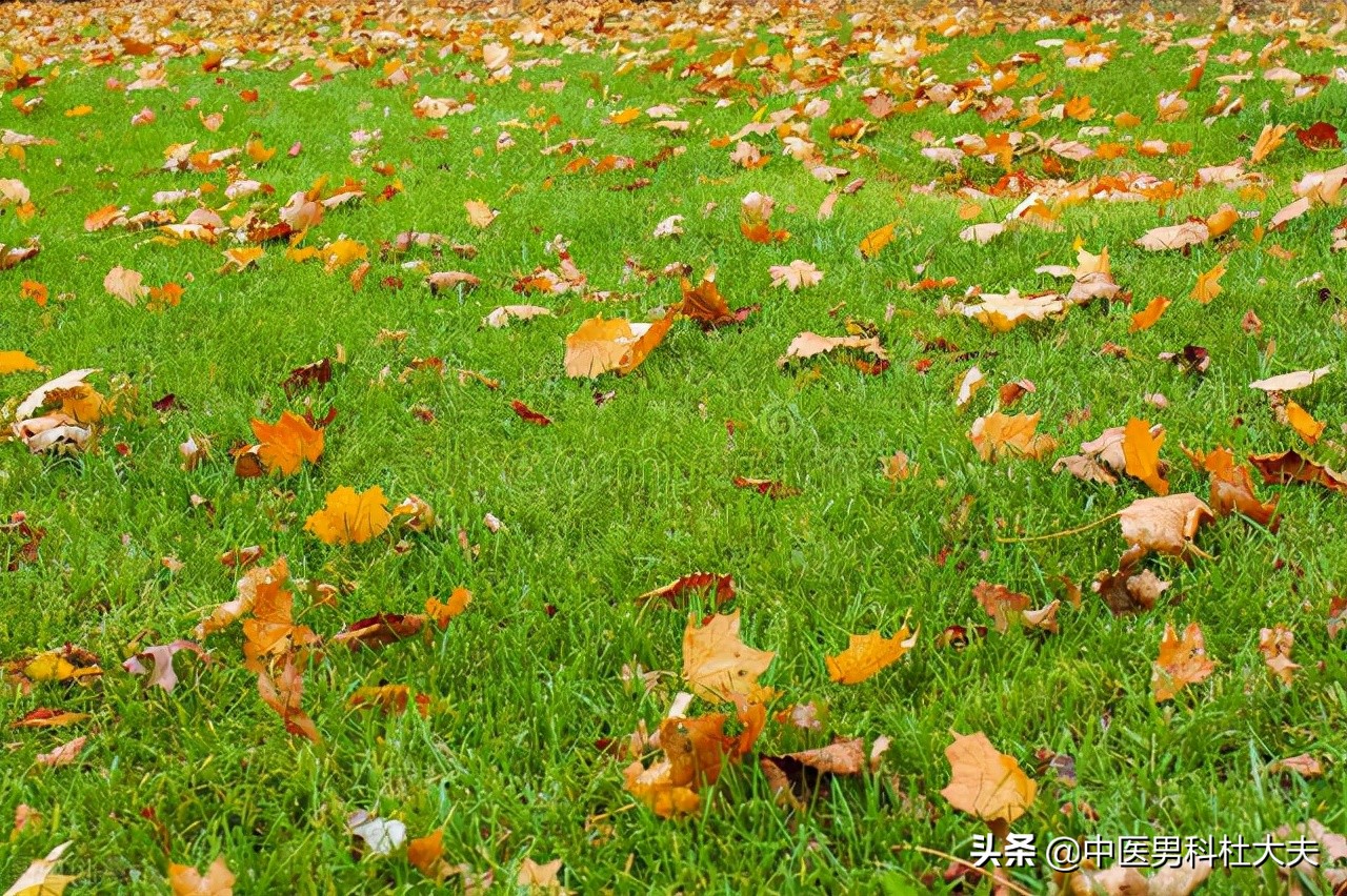 情志不畅想吐怎么办,情志失调引起的胃不舒服