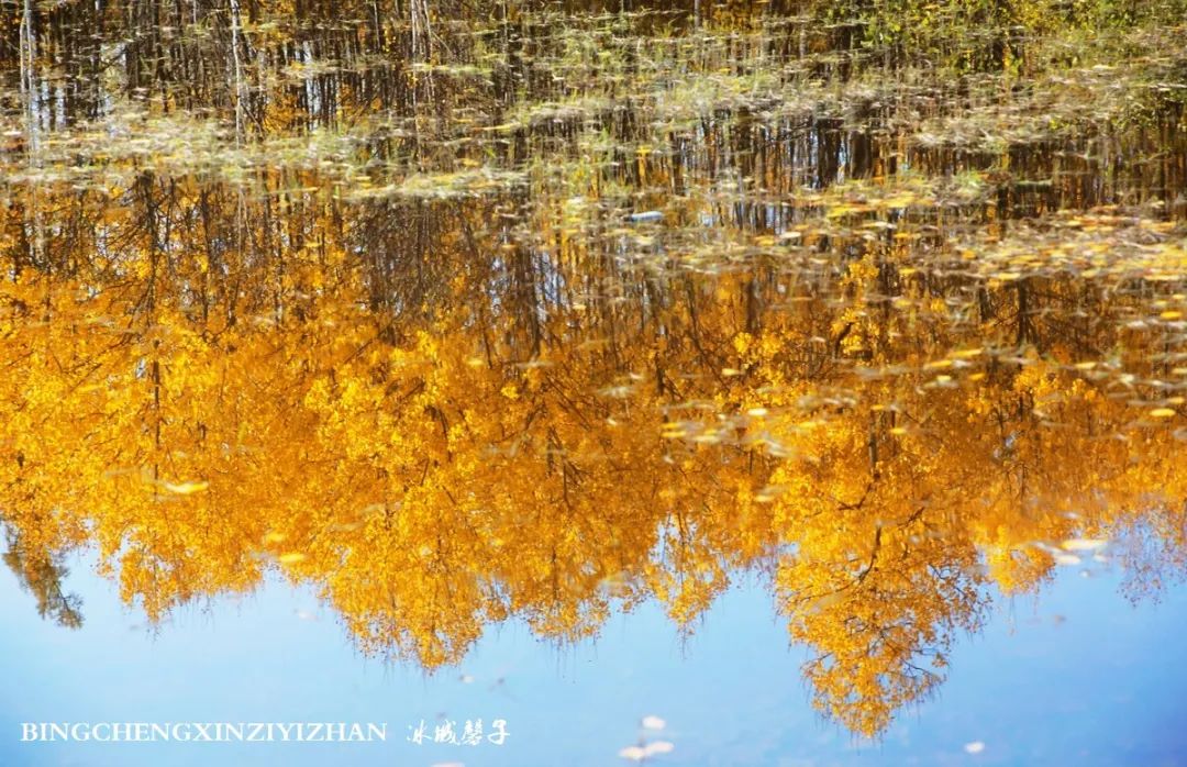 深秋的大兴安岭色彩斑斓,大兴安岭的秋天美景