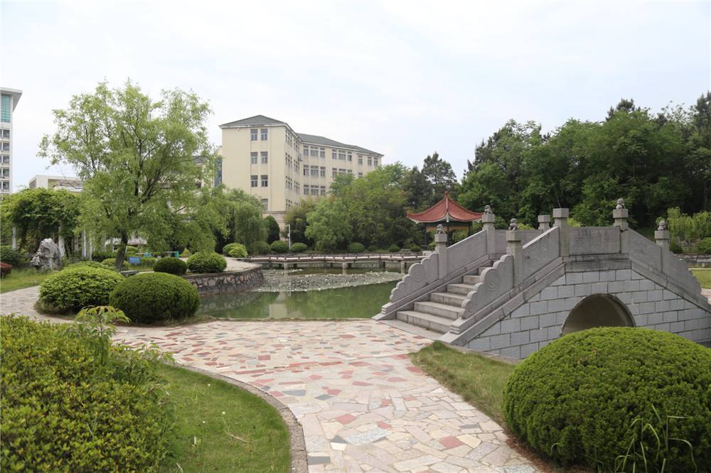 合肥市网红游玩区,合肥网红景点推荐