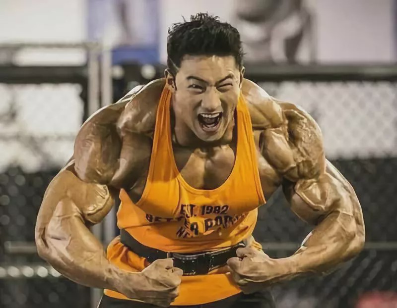 怎么练手臂的肱三头,怎么才能练出手臂的肱三头肌