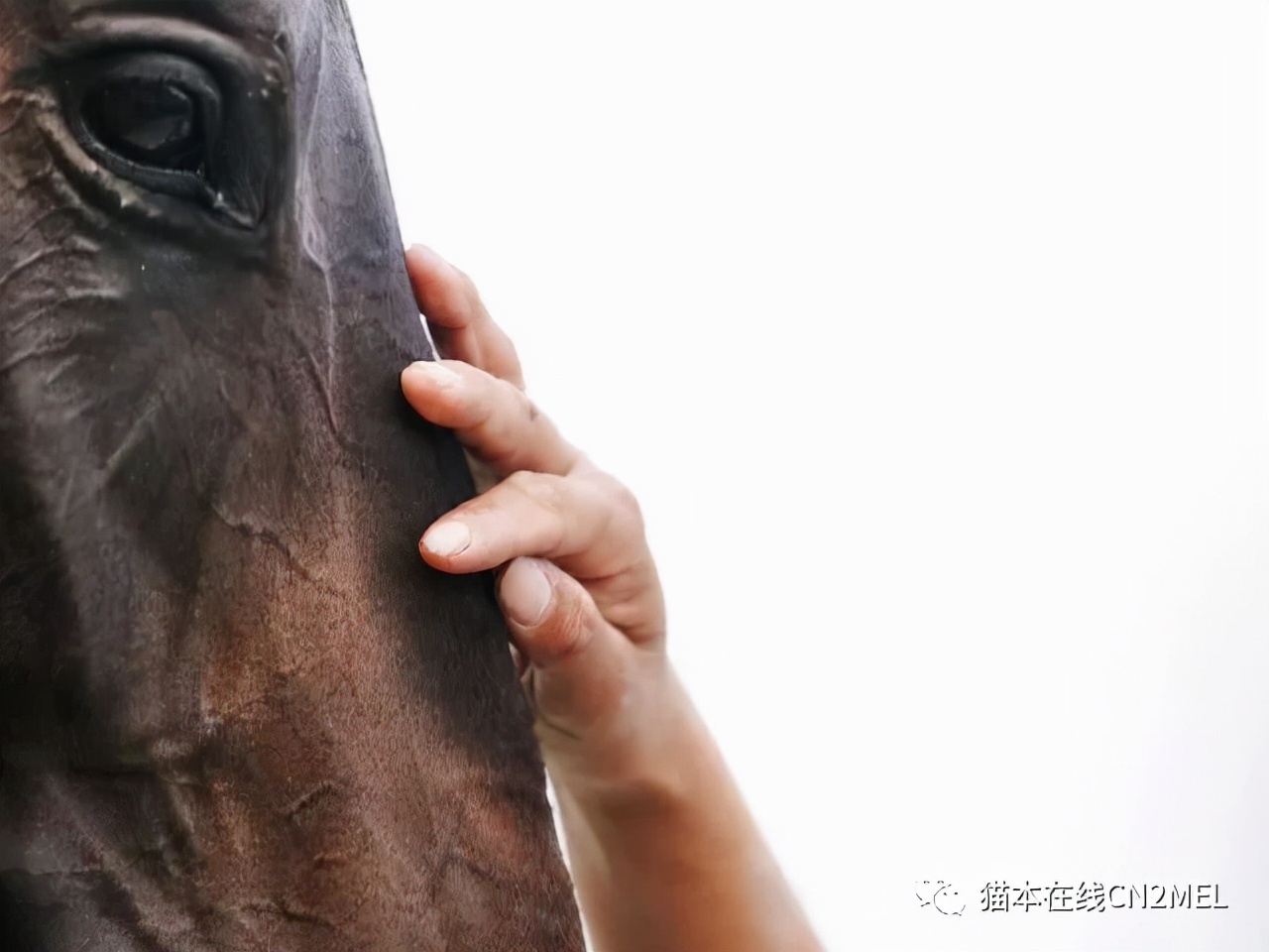 婢虫床鏂板啝绁炶嵂,婢虫床娌绘柊鍐犵殑绁炶嵂