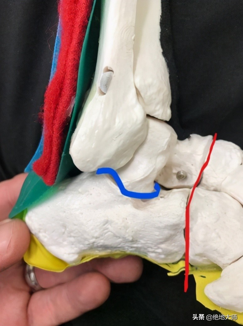 腿长短不一样怎么诊断,腿长短不一怎么调理