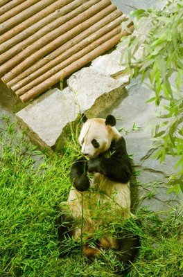 湖州三日游去哪里最好,湖州周边一日游好去处
