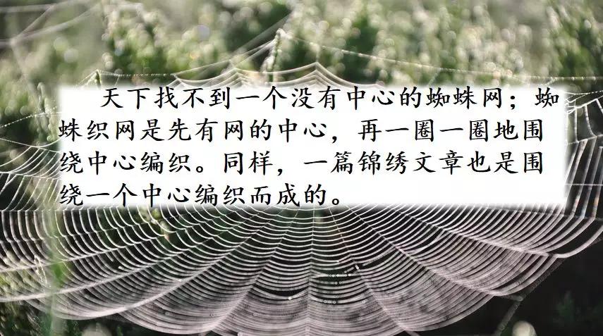 部编版六年级上第五单元习作例文,围绕中心意思写六年级作文500字