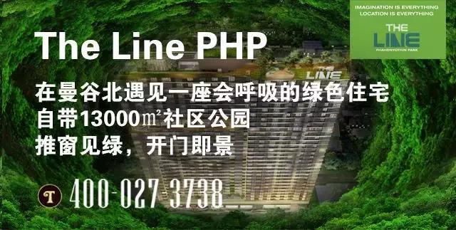 泰国旅游必买的茶叶,小红书爆款山茶花伴手礼