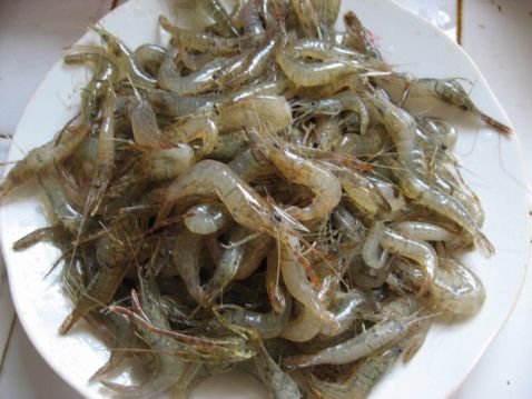 鲜虾放冷冻能保存多久,怎样保存鲜虾放冰箱冷冻