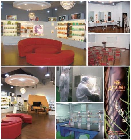 专注秀发健康——法国丹蔻丽,诚邀您参加9月西安酒店用品展