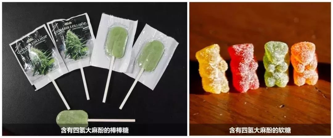 禁毒知识毒品的危害答案,禁毒科普要小心这些套路都有毒