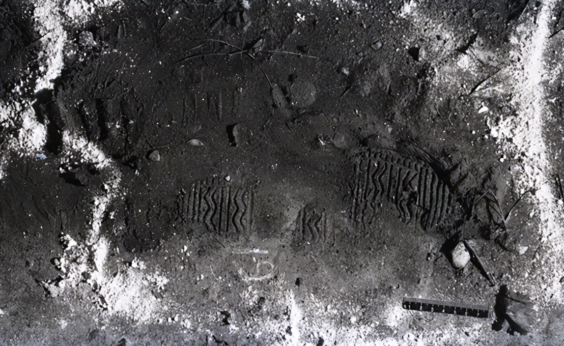 南医大杀人案纪实全集,南医大杀人案大案实录