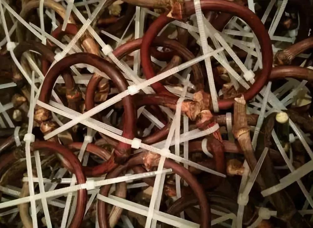 等疫情结束了我想回安徽,等疫情结束了我想放个长假