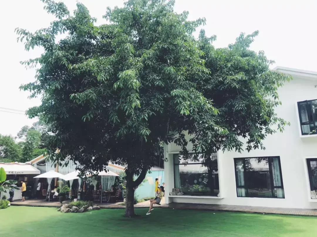 华润置地自在域项目,成都华润置地自在域户型