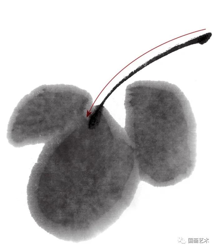 国画写意菊花龙爪菊,写意菊花画法教程简单