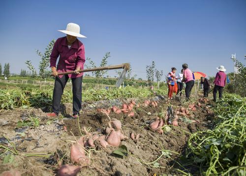 杨源水：我的三大娘