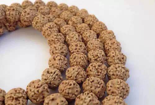 如何挑选一串好的小金刚菩提子,小金刚菩提最全纹路