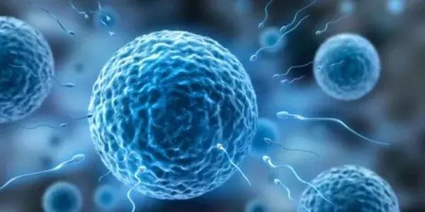 林志玲生娃是真的吗,林志玲生孩子吗