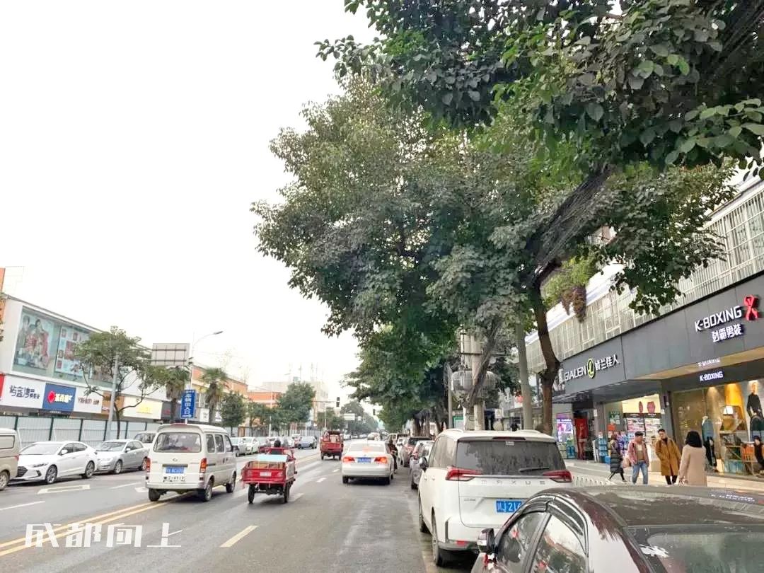 大运村建设火热朝天，成都大学已经上天