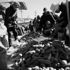 父亲的自行车全集,父亲的自行车