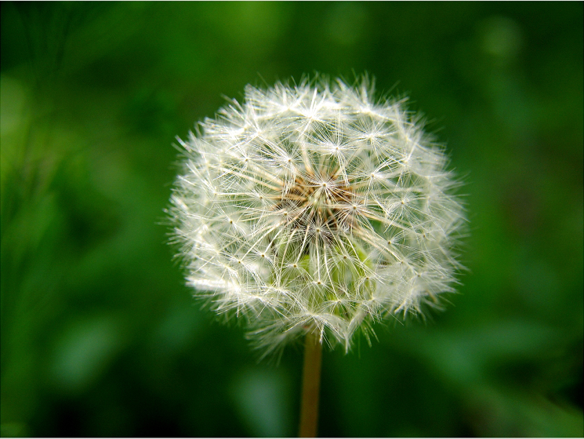 如何白手起家创业,如何白手起家赚钱