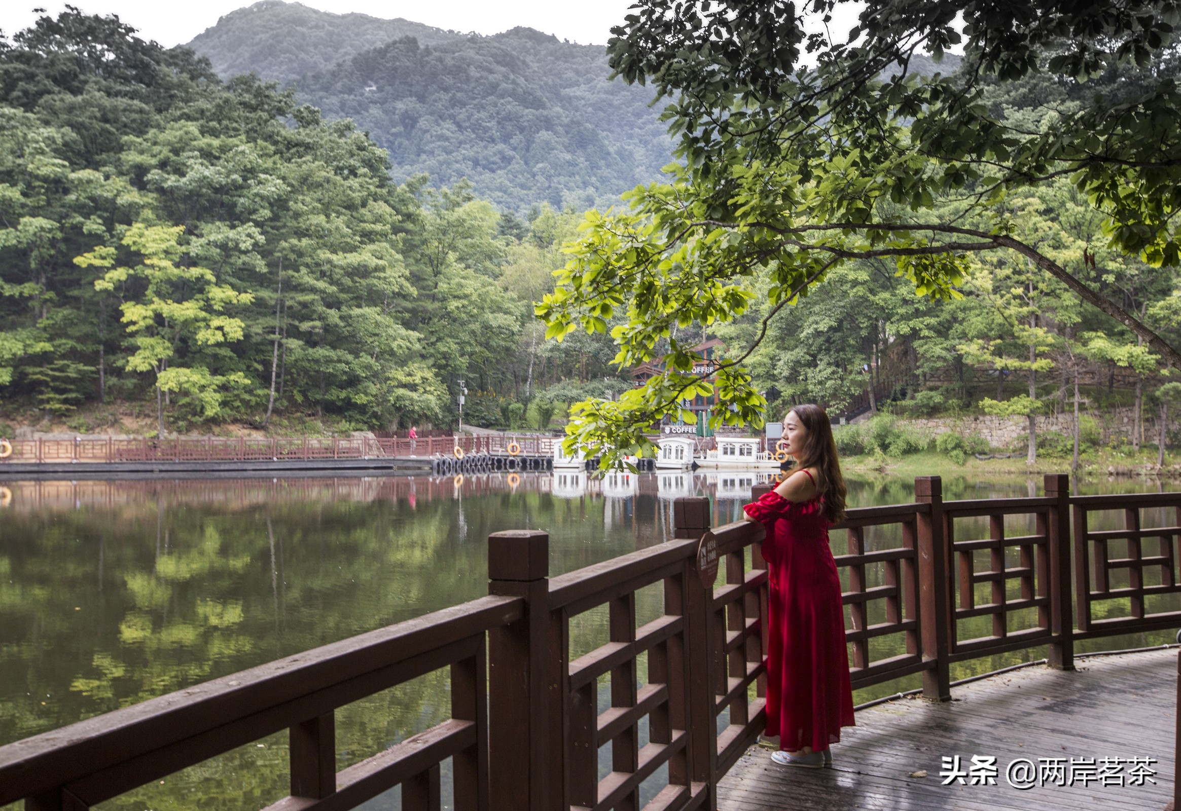 再看白云山，看山不是山，它是一本百读不厌的百科全书