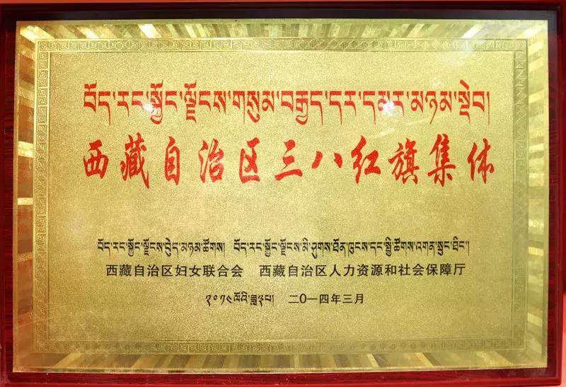 “回眸·40年”林芝公安大家庭的改革开放之荣誉篇(四)