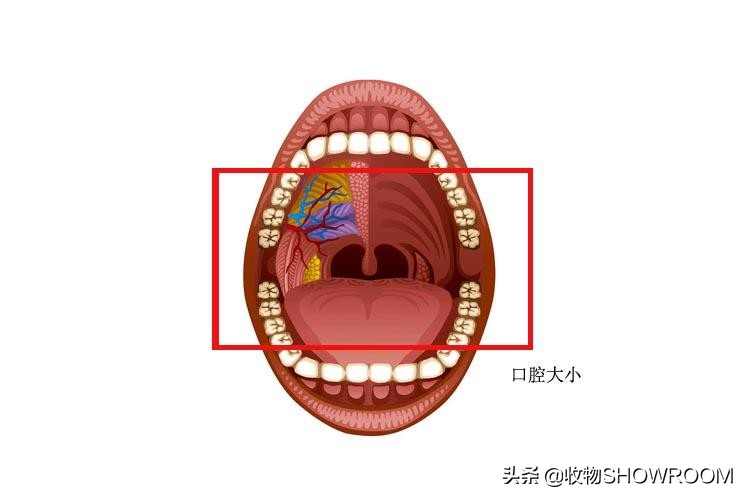 电动牙刷怎么挑选,电动牙刷挑选攻略别再踩坑了