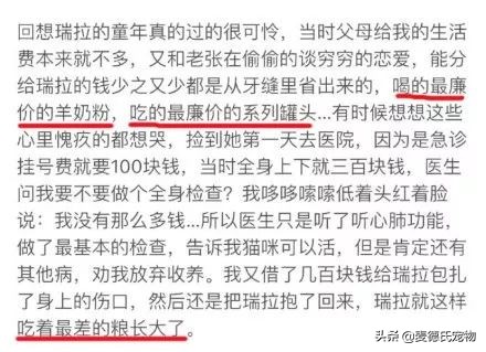 抖音里最火的网红猫,抖音上的几大网红猫