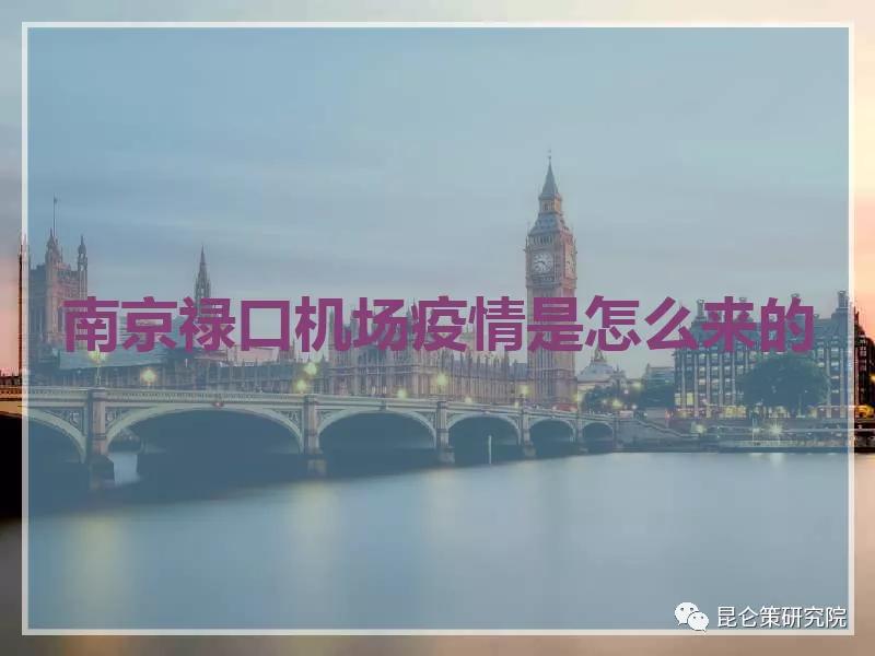 司马南：重提南京禄口机场的一个教训