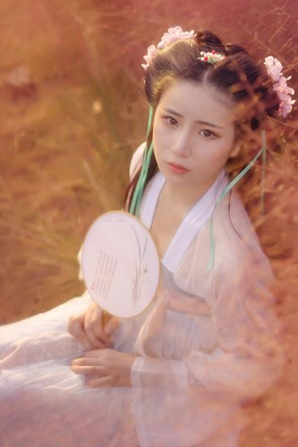 吟风曲歌曲完整版,吟风二胡版