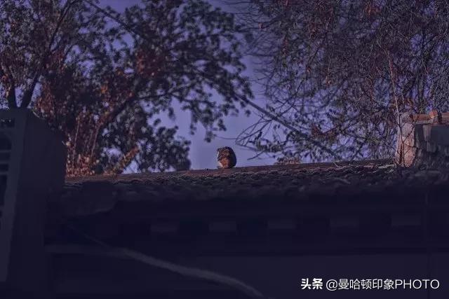 ps里cmyk曲线调色原理及技巧,ps曲线实用技巧学会了吗