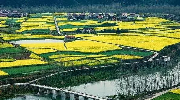 湖北38座城市公园数量排名,湖北有多少园林城市