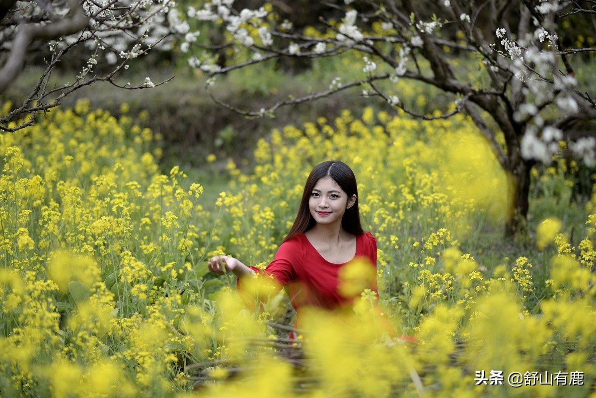 世间最美的爱,莫过于“红颜爱侣”之情,你伴我一程,我伴你一世