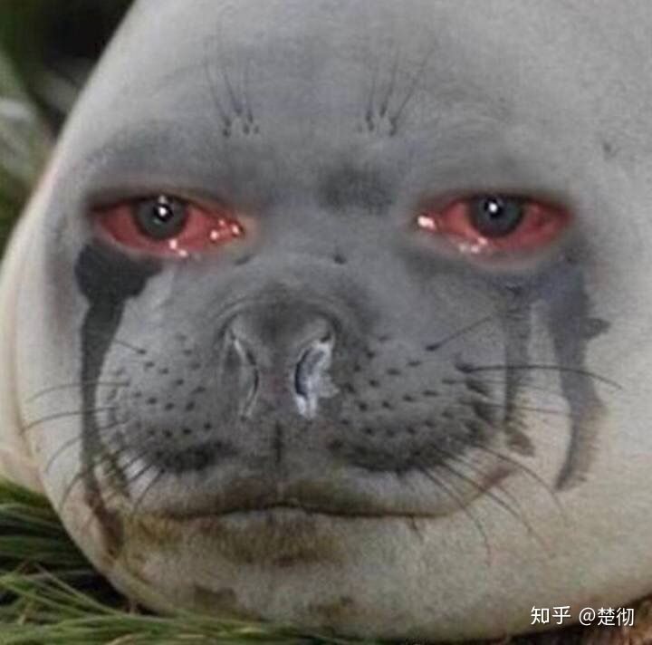 抽烟的女生是什么样的人,抽烟的女生是什么样的女生