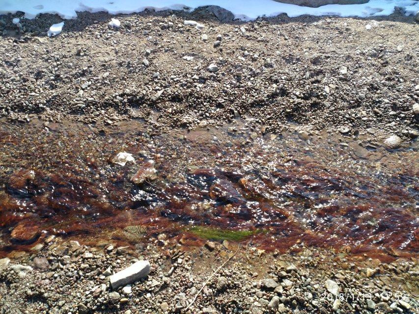 “思者无域行者无疆”贺兰山下行走的风景