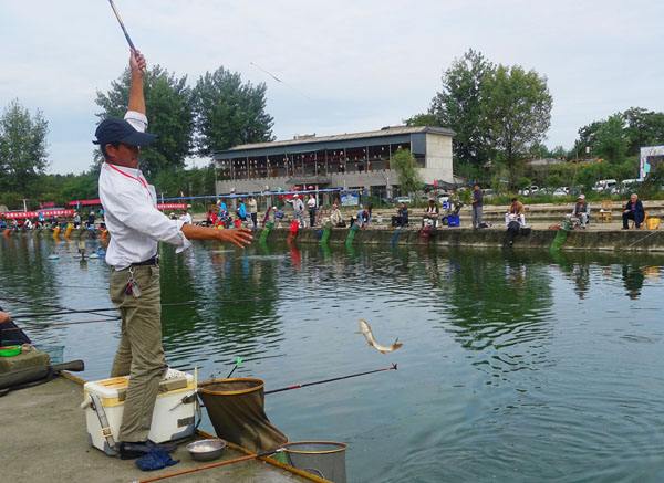什么是台钓视频,什么是台钓意思