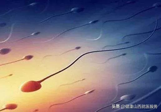 精子死精成活率低应怎么调理,精子是活的还是死的怎么判别