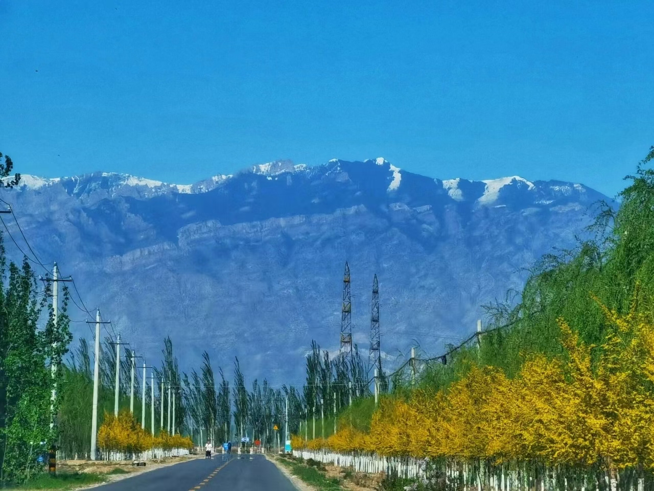 贺兰山东麓的葡萄酒卖不动,贺兰山东麓葡萄酒有利条件