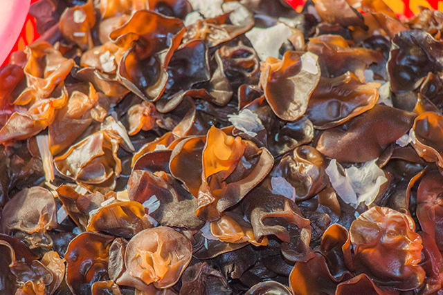 黑木耳培植的重点工作在哪里？3分钟让你掌握黑木耳的种植技术