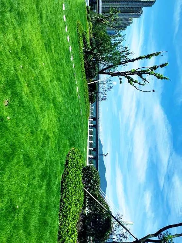 桐庐最新规划有几条高速,桐庐未来交通规划