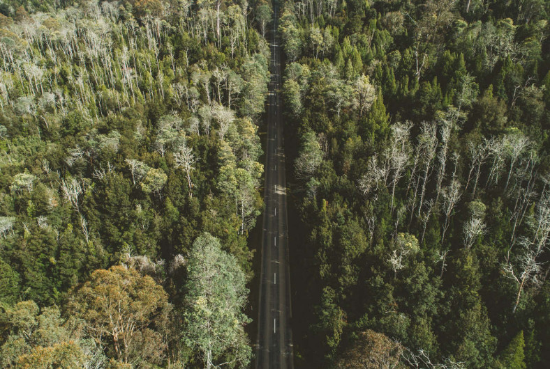 “COMEDOWNFORAIR”,来塔斯马尼亚尽享呼吸