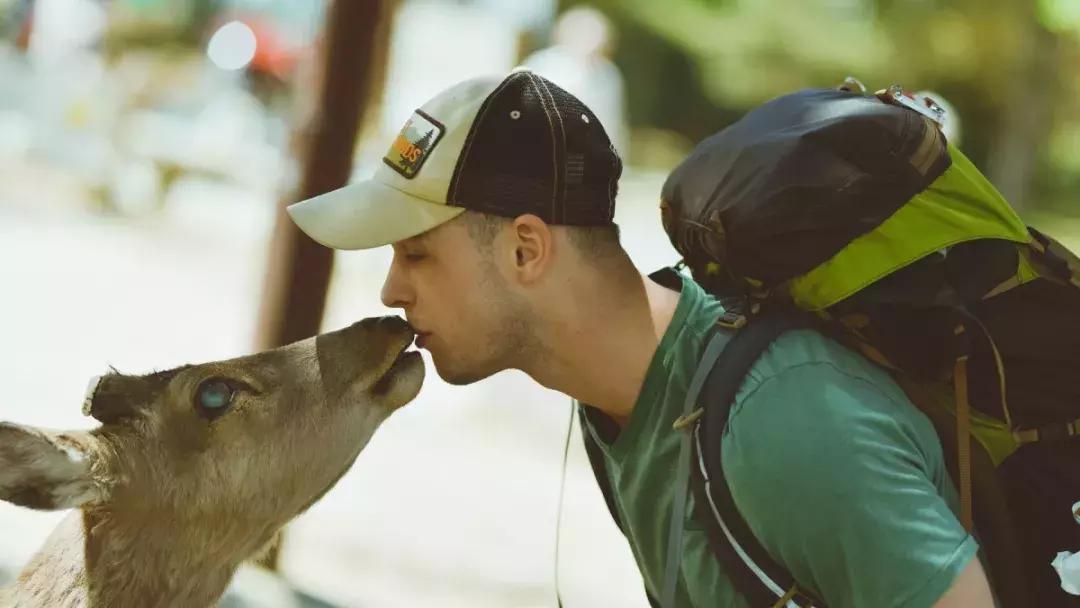 世界素食日和国际素食日,世界无肉日为什么不能吃肉