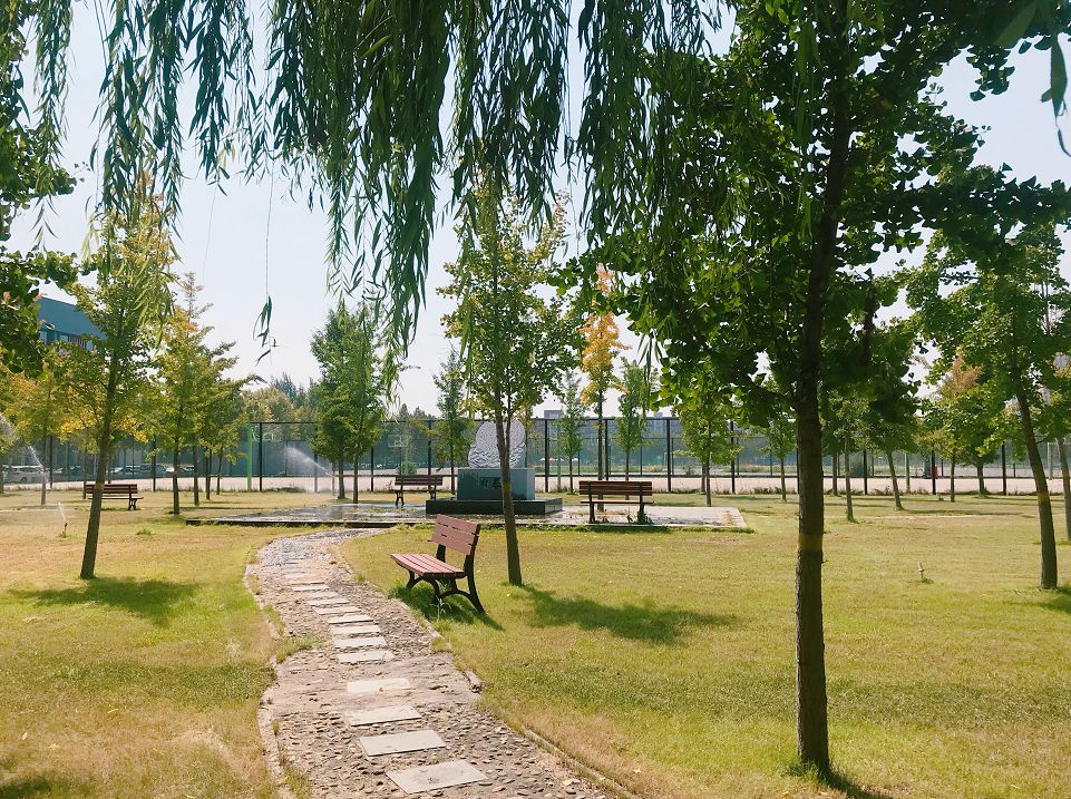 石家庄学院合集,石家庄学院校内