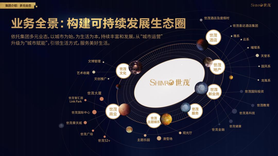 港珠澳大桥开始建设,港珠澳世茂城