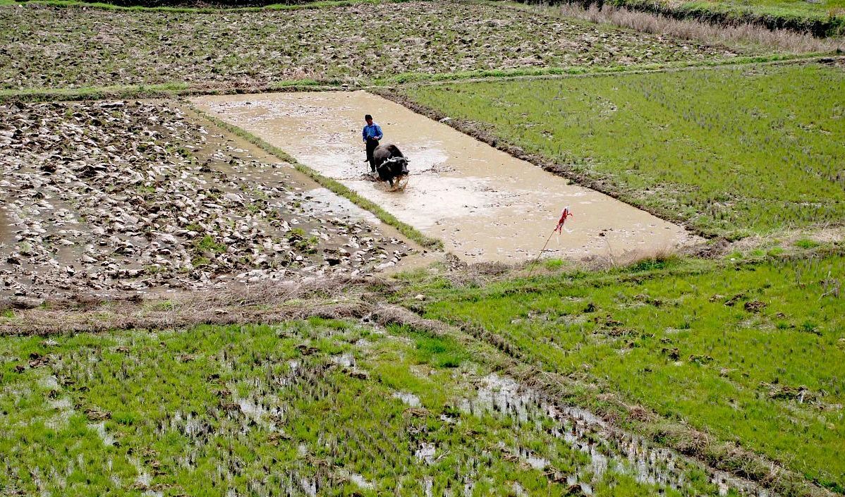 春耕进行时到处是一片繁忙的景象,春耕一般在什么时候